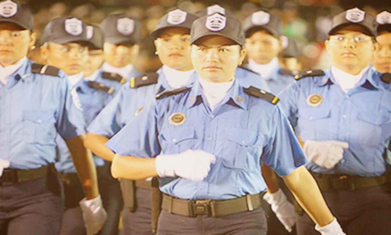POLICIA, ESTRUCTURA Y CARRERA POLICIAL