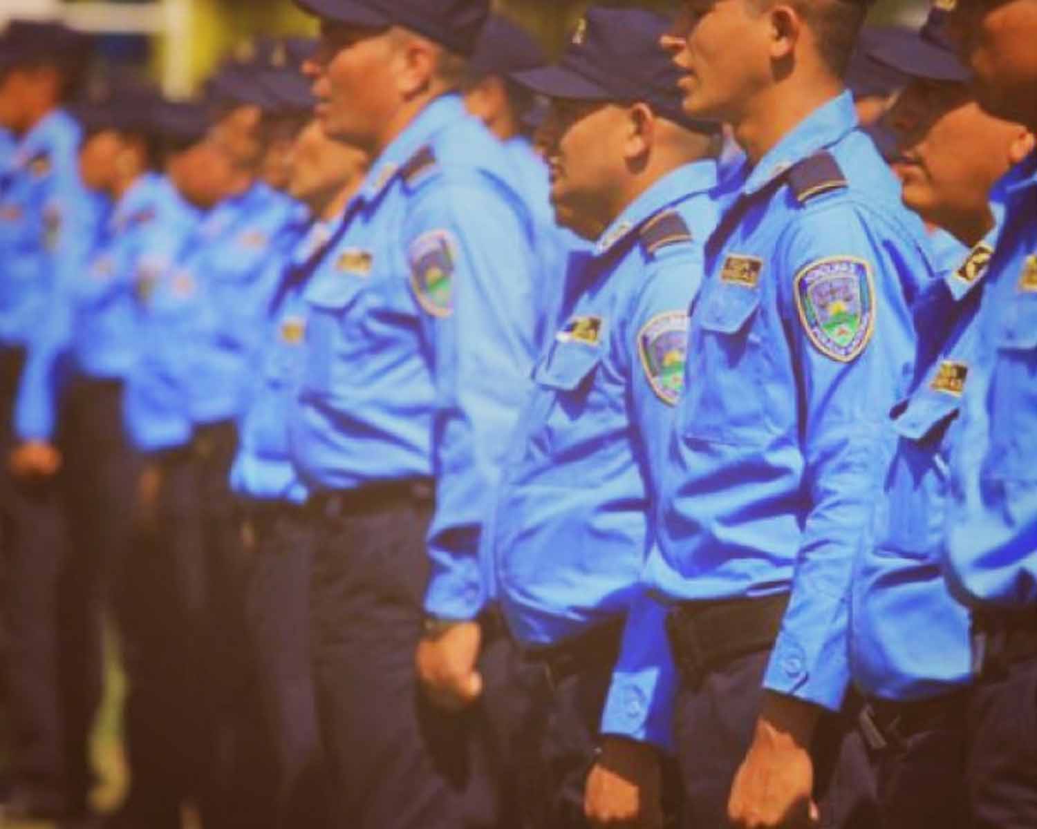 INSTITUCIONALIDAD POLICIAL