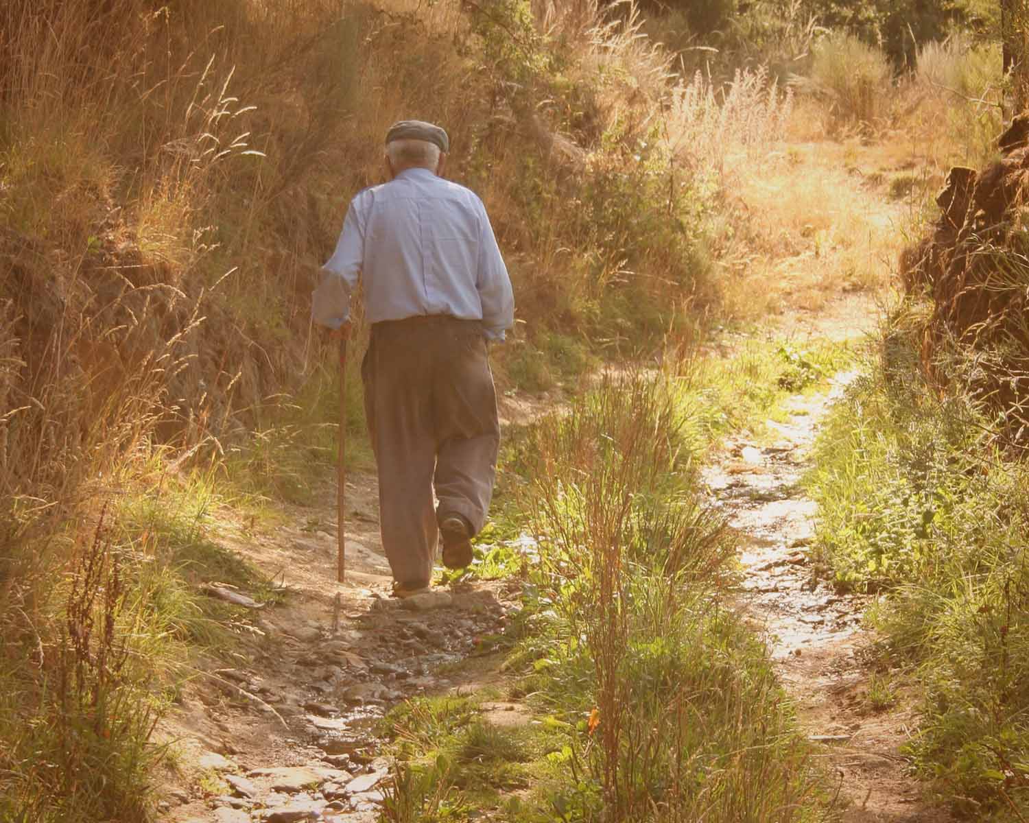 EVASIONES:  Caminante