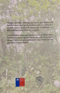 Relatos de una poeta chilena: El bosque de hueñuibales   