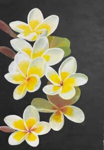 GUERRA NACIONAL DE CENTRO-AMÉRICA contra la invasión extranjera. BATALLA DE SAN JACINTO: preámbulo de la victoria